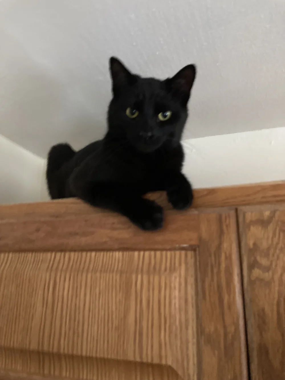 garrincha on dresser