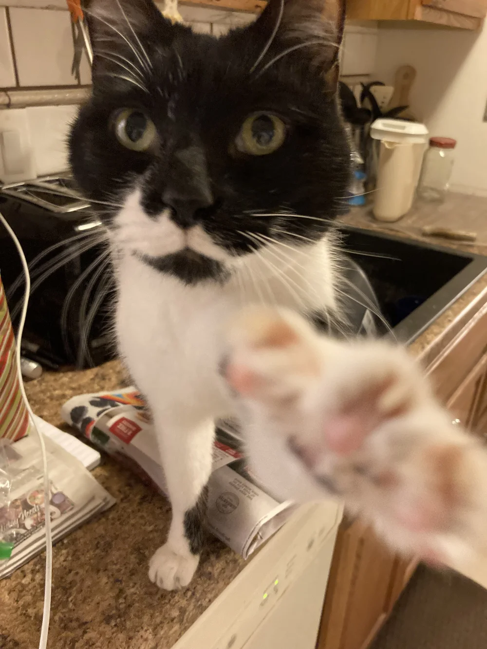 pele on the counter