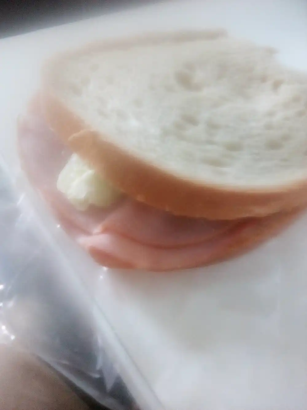 bologna sandwhich