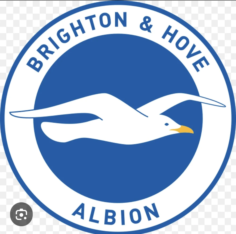 brighton albion