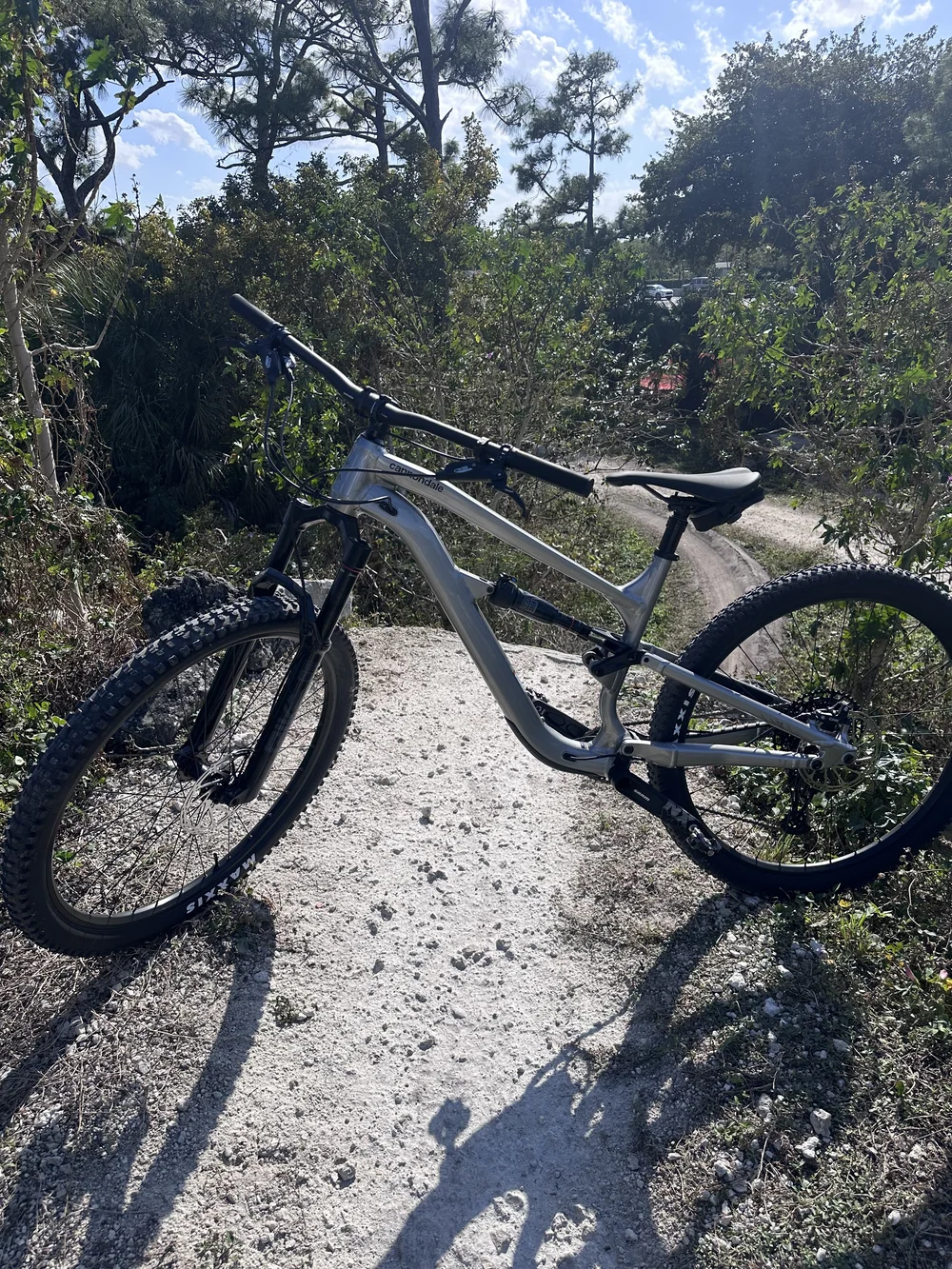 new mountain bike