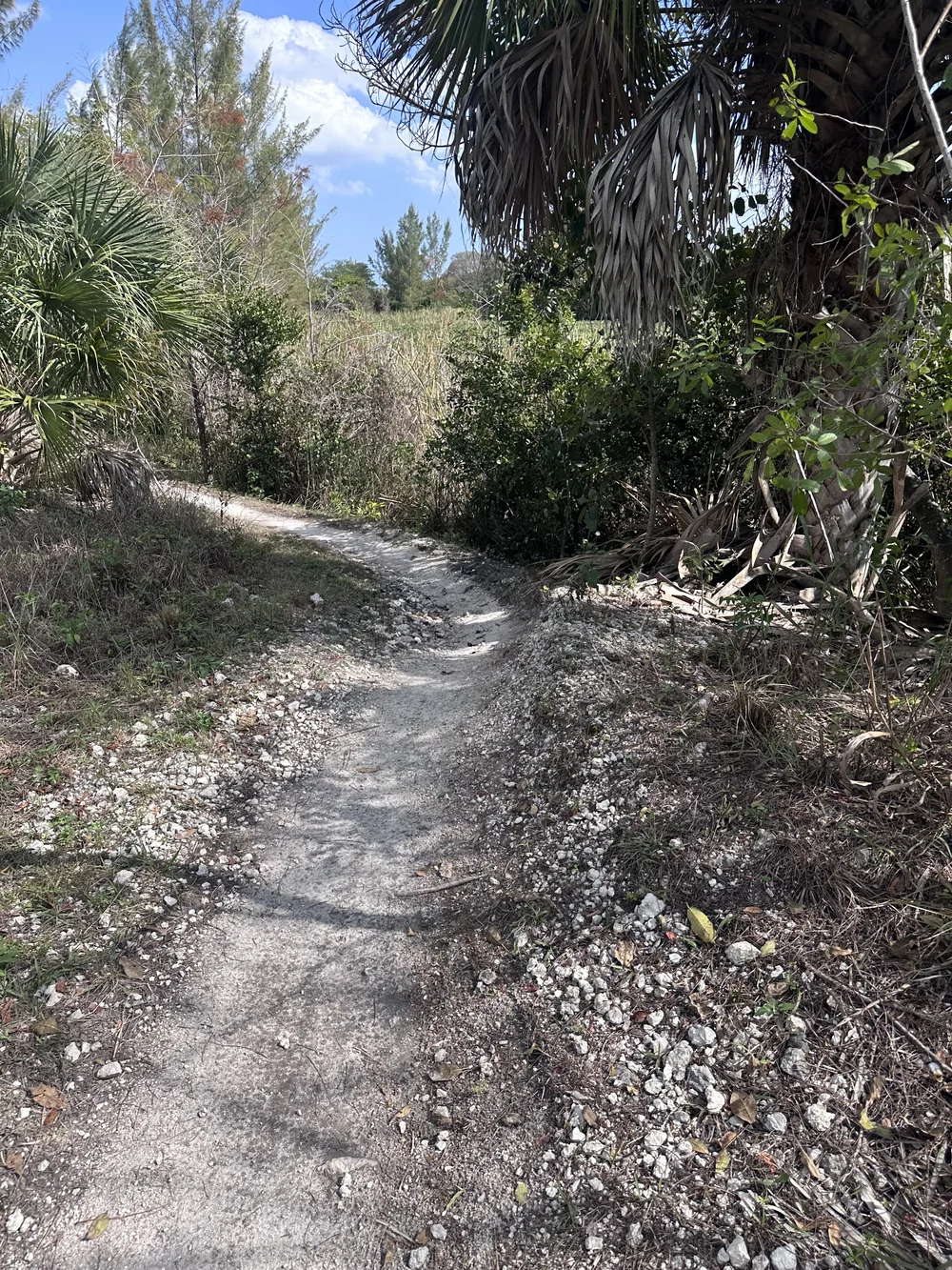 quiet waters park in an ambulance crash