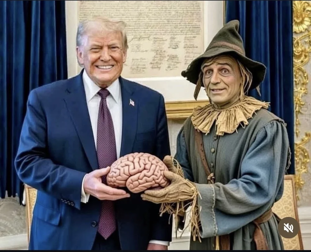 trump brain