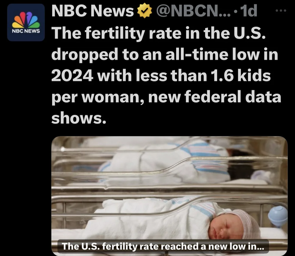 us fertility rate
