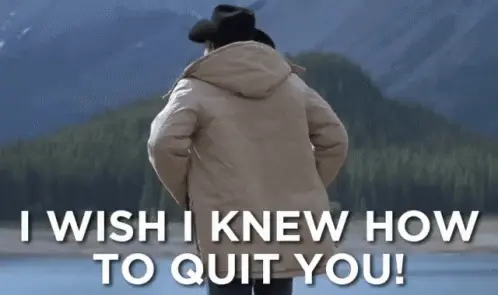 brokeback mountain wish to quit you